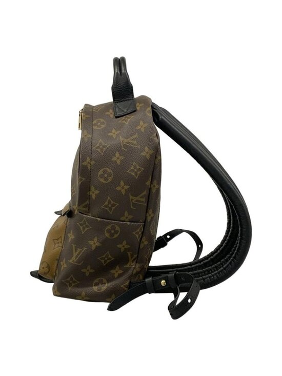 Louis Vuitton Backpack Monogram Reverse Palm Spring PM main image 8